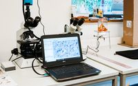 Ein Labortisch mit einem Laptop, auf dessen Bildschirm eine mikroskopische Aufnahme angezeigt wird. Daneben steht ein Mikroskop, das über ein Kabel mit dem Laptop verbunden ist. Im Hintergrund sind weitere wissenschaftliche Geräte und Materialien zu sehen