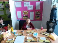 Ein Mädchen beim Regionalwettbewerb Jugend forscht 2019 in Elmshorn an ihrem Stand "Das Geheimnis der harten Knete"