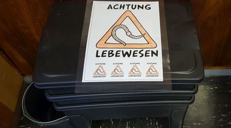 Wurmkiste im Schülerforschungszentrum der Gemeinschaftsschule Meldorf