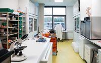Ein kleines Labor mit Arbeitsflächen, Mikroskopen und Laborausrüstung sowie Aufbewahrungsmöglichkeiten.